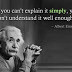 Albert Einstein Education Quotes About Science