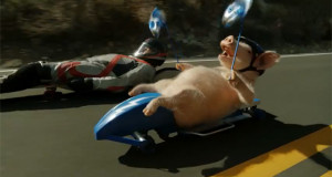 Maxwell introduces you to its funny campaign’s character – the ...