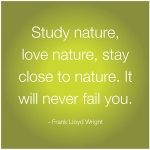 study nature love nature stay close to nature it will never fail you