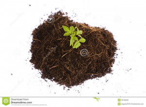 Funny Quotes Contact Dmca...