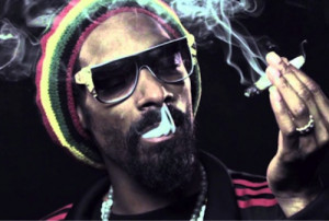 Snoop Lion says he smokes up to 80 spliffs per day. With an appetite ...