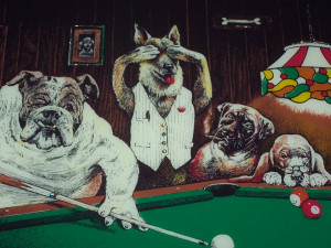 Dogs Playing Pool Picture