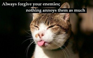 Always Forgive Your Enemies, Nothing Annoys Them As Much. ~ Cat Quotes
