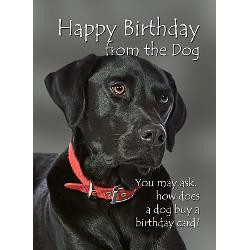 from_the_black_lab_birthday_card.jpg?height=250&width=250&padToSquare ...