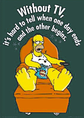 Homer Simpson The Simpsons...