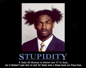 short funny quotes about stupidity
