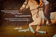 Tag Archives: horse jumping quotes and sayings