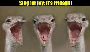 sing for joy it s friday category animals other animals