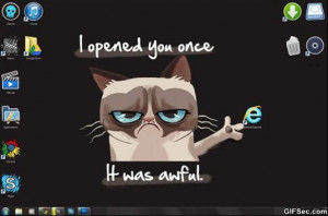 Funny-Grumpy-cat-vs.-Internet-Explorer.jpg
