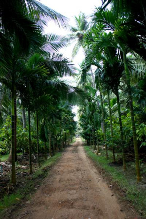 what motivates a person to blog joke search by punchline 7 artic ...