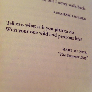 quoted in Cheryl Strayed's _wild_