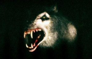 ... snaps unleashed werewolf is like the bad moon werewolf on four legs