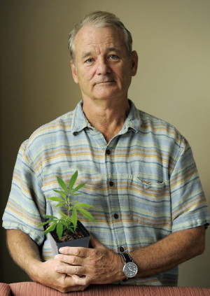 Bill Murray Legalize Weed