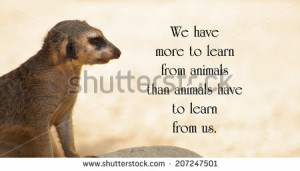 Inspirational quote about animals by Anthony Douglas Williams, with a ...