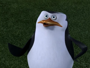 Some-pictures-of-Skipper-skipper-the-penguins-of-madagascar-31445384 ...
