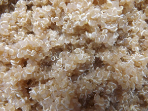 Cute I Love You Quotes For Girlfriend · Minecraft Zombie Cake ...