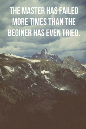 The master has failed more times than the beginner has even tried.