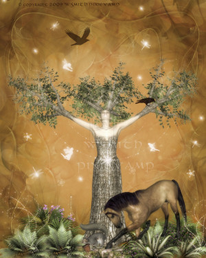 images of celtic tree of life by pixiev& on deviantart