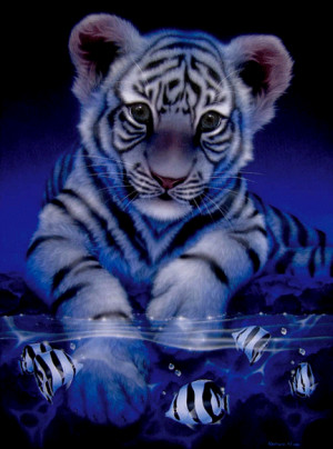 Clipart » Animals » blue tiger
