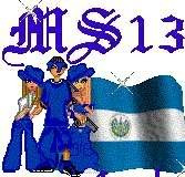 salvadorean pride Image