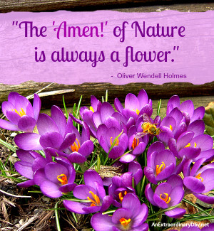 Spring Crocus Photo Quote :: Amen of Nature Quote - Holmes ...
