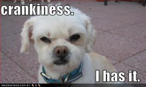 have absolutely NOTHING planned for the day, the first time this ...