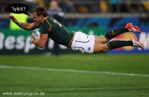 francois hougaard