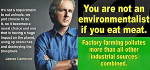 Vegan director James Cameron: You're not an environmentalist if you ...