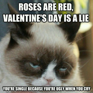 Grumpy cat - truth about valentines
