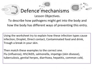 Defense Mechanisms Worksheets
