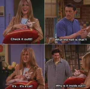 The most Memorable Friends TV Show Quotes