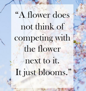 flower-tuesday-quotes.jpg