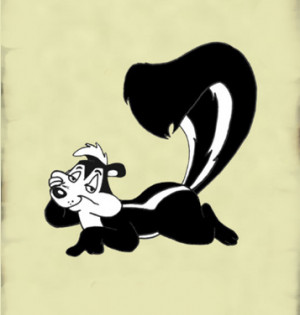 ... reading this remember pepe le pew if not pepe le pew is a skunk