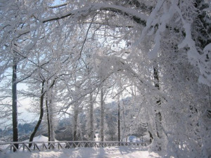 Winter Wonderland at Tsagarada, Pelion by Treborbor from