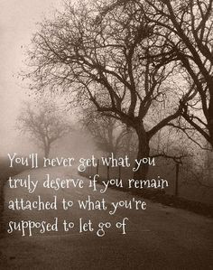 embrace your dreams. Move forward, take risks, go on adventures, step ...