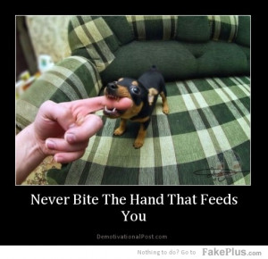 Premise You Don T Bite The Hand That Feeds You
