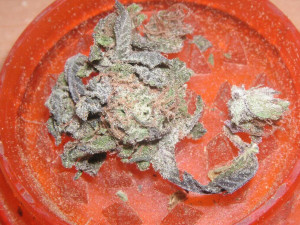 Re: AK47 = Best Weed Ever