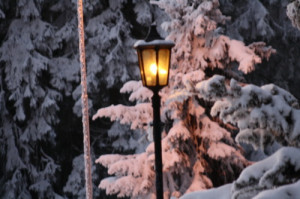 Narnia Quotes About The Lamp Post Clinic