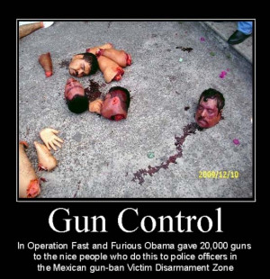 Gun Control Demotivational Posters
