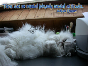 Muhammad Nouman Ali sheroz Awais iqbal Talha Mohsin Riaz