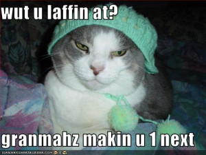 funny-pictures-grandma-made-your-cat-a-hat.jpg