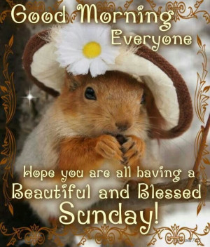 Good Morning Have a Blessed Sunday
