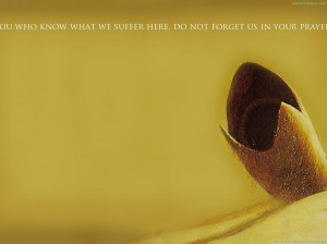 Desktop Wallpaper,Dune,quotes,sand,Overcoming,Insurmountable,Obstacles ...