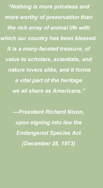 ... endangered species act has saved hundreds of species from extinction