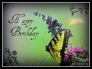 Happy Birthday Butterfly...
