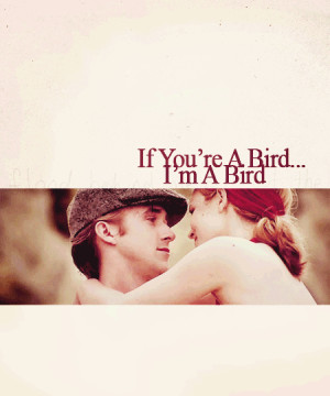 if your a bird im a bird on Tumblr
