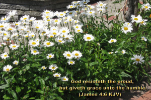 ... .com/great-short-easter-verses-from-the-bible-with-feb-that.html