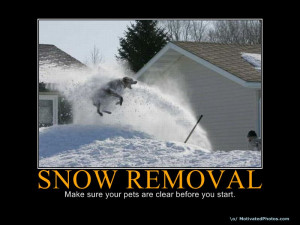 Plow Snow Removal