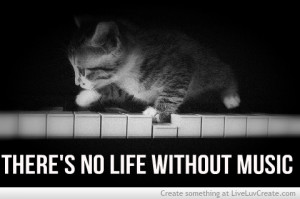 inspirational, cat on a piano, love, pretty, quotes - inspiring ...