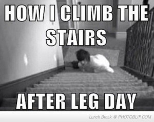 After Leg Day